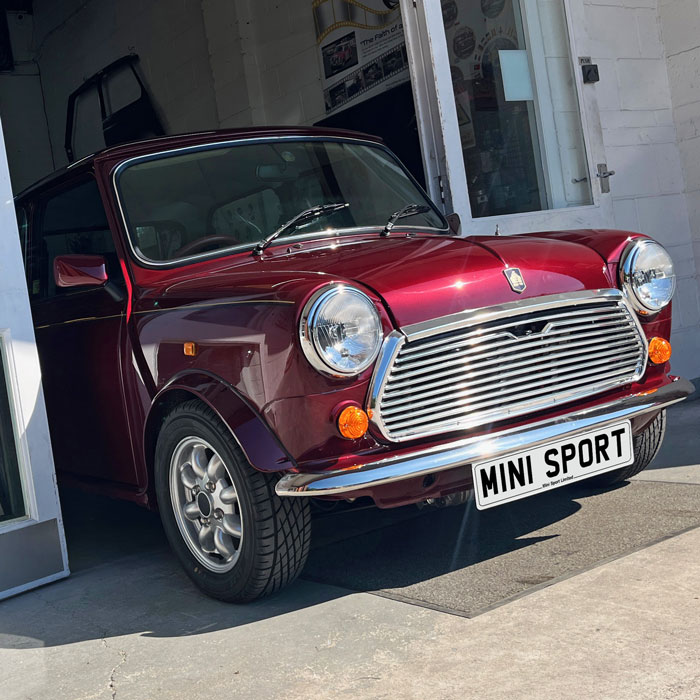 McNamara family Mini 30 customer unveiling at Mini Sport